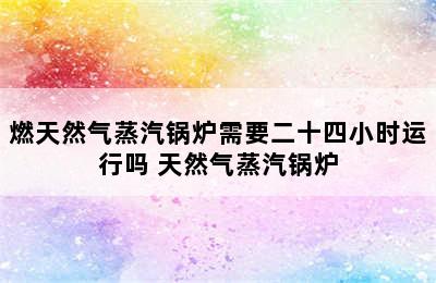 燃天然气蒸汽锅炉需要二十四小时运行吗 天然气蒸汽锅炉